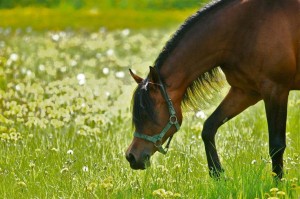 6bb7429c71b847b4a4aa0b4c5cbb2907