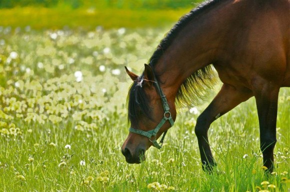 6bb7429c71b847b4a4aa0b4c5cbb2907