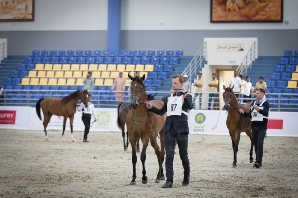 SSS_3459الشارقة ٢٠١٦