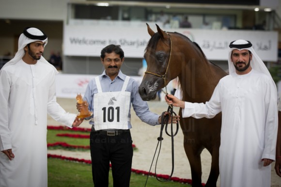 SSS_3534الشارقة ٢٠١٦