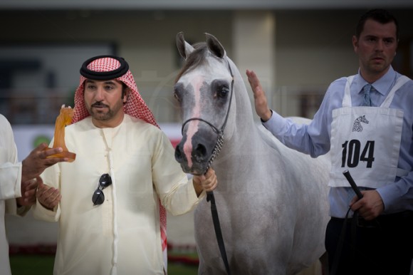 SSS_3543الشارقة ٢٠١٦