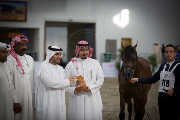 SSS_3564الشارقة ٢٠١٦