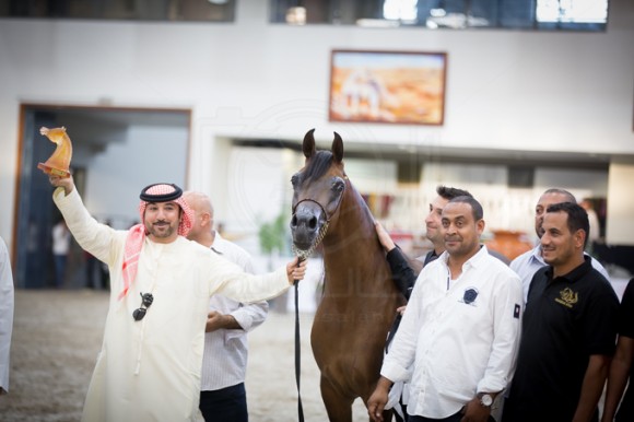 SSS_3595الشارقة ٢٠١٦