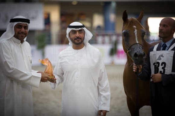 SSS_3599الشارقة ٢٠١٦