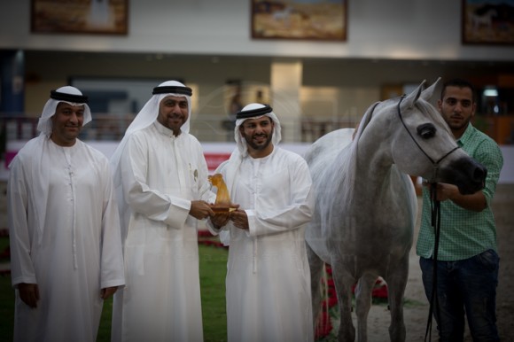 SSS_3603الشارقة ٢٠١٦