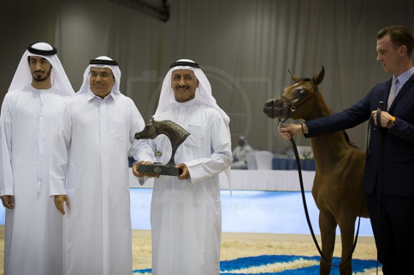 SSS_3945دبي ٢٠١٦