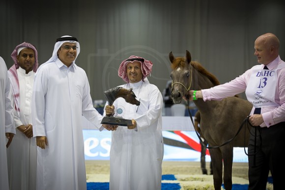 SSS_3948دبي ٢٠١٦