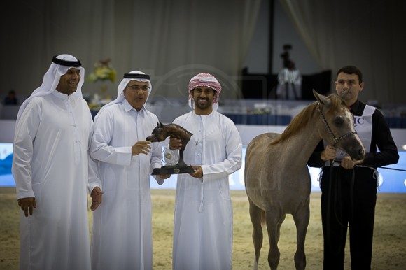 SSS_3951دبي ٢٠١٦