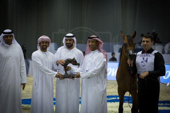 SSS_3977دبي ٢٠١٦