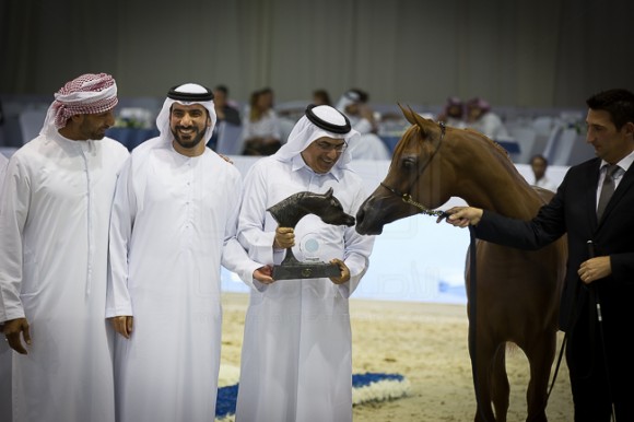 SSS_3981دبي ٢٠١٦