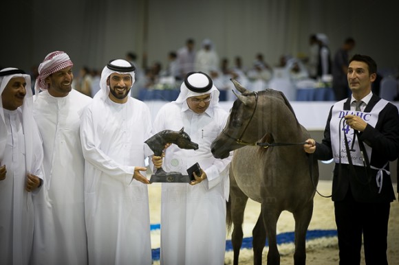 SSS_3996دبي ٢٠١٦