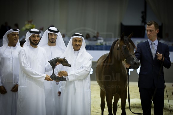 SSS_4007دبي ٢٠١٦