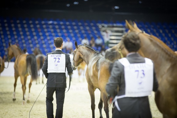 SSS_4014دبي ٢٠١٦