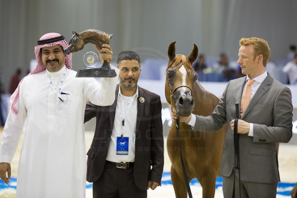 SSS_4023دبي ٢٠١٦