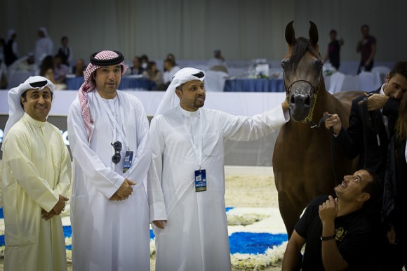 SSS_4127دبي ٢٠١٦