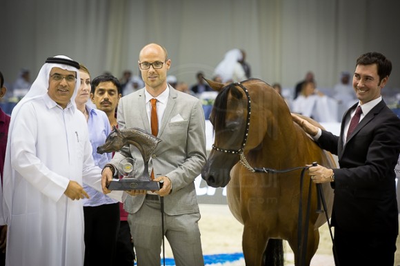 SSS_4188دبي ٢٠١٦