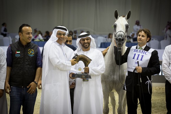 SSS_4190دبي ٢٠١٦