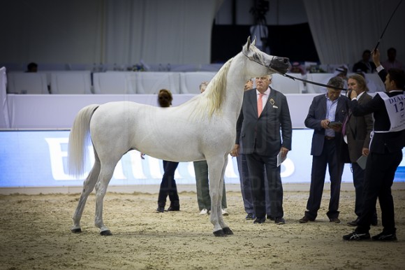 SSS_4203دبي ٢٠١٦