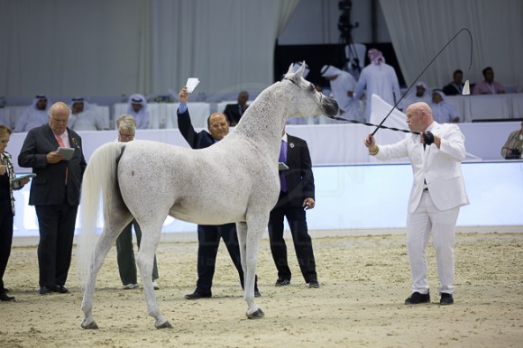 SSS_4211دبي ٢٠١٦