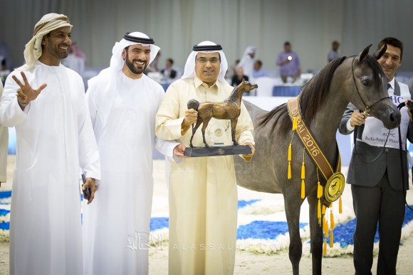 دي عجايب D AJAYEB 
(RFI FARID x LADI VERONIKA)
مربط دبي
