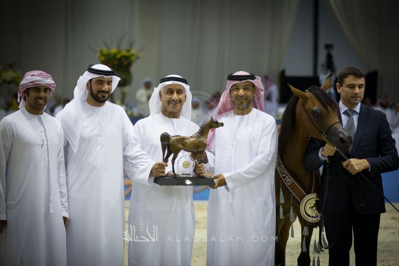 ماريا اباال HDM MARIA APAL
(RFI FARID x WW IMANIA-APAL)
مربط عجمان
