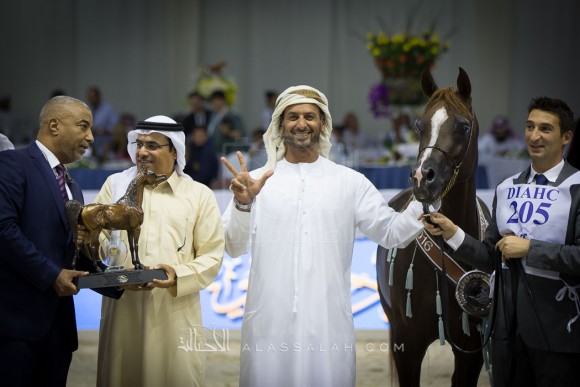 دي خطاف D KHATTAF 

(ROYAL COLOURS x D JOWAN)
مربط دبي
