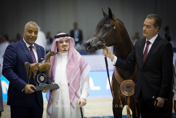 زاهر المعود ZAHER AL MUAWD 

(EQUATOR x ESPINILLA)
مربط الخادية
