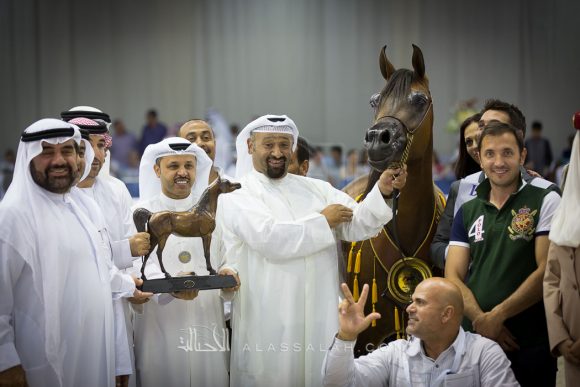 دونا مولتا بيلا DONNA MOLTA BELLA SRA 
(DA VALENTINO x RD FABREANNA)
مربط الصقران
