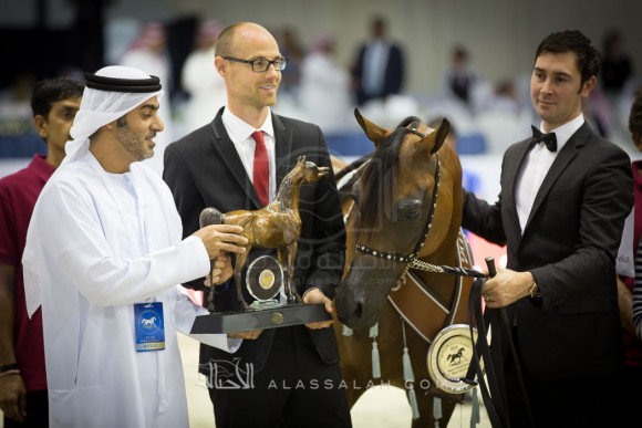نجده الزبير NAJDAH AL ZOBAIR 
(MARWAN AL SHAQAB x JFN BINT LUDHAN)
مربط الزبير
