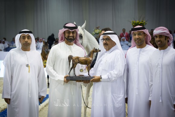 شنقهاي SHANGHAI EA 

(WH JUSTICE x SALYMAH)
مربط عجمان
