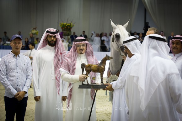 بانديروس BAANDEROS

(MARWAN AL SHAQAB x HB BESSOLEA)
مربط الخالدية
