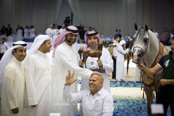 اي اس حرير E.S. HARIR 

(AJ DINAR x TF MAGNUM’S MAGIC)
مربط الصقران
