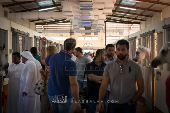 مربط الزبير - عام