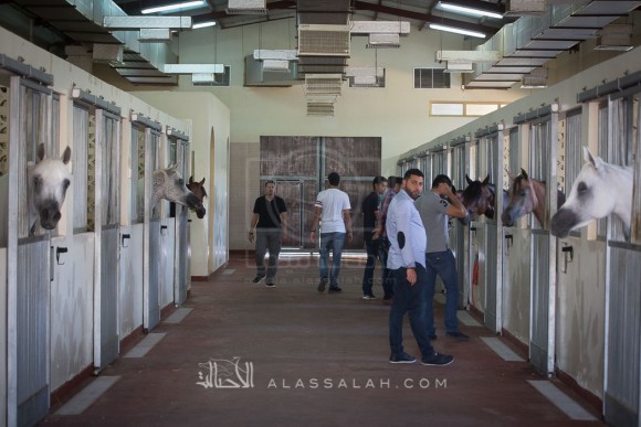 مربط الزبير - عام