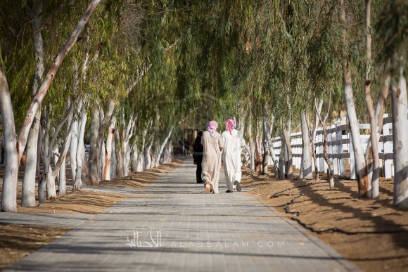 مربط الزبير - عام