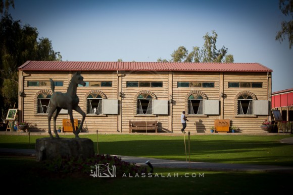 مربط الزبير - عام