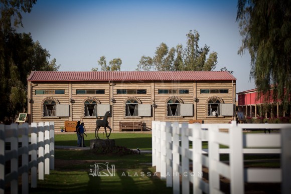 مربط الزبير - عام