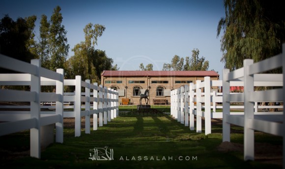 مربط الزبير - عام