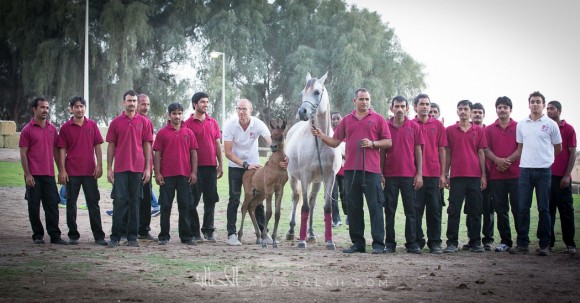 مربط الزبير