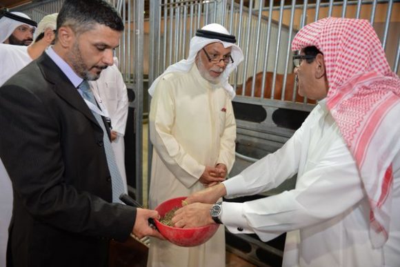 زيارة مربط المعود CgPYV6qWcAAnczL