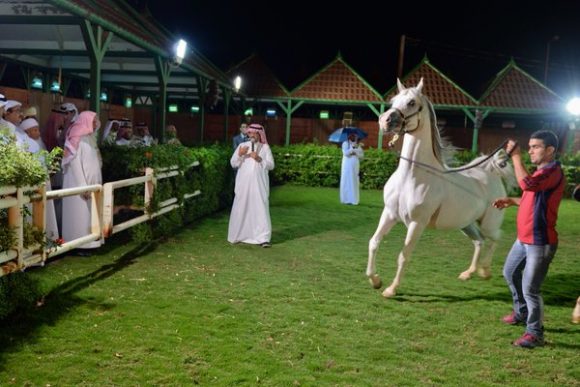 زيارة مربط المعود CgPisfNWwAA_RGp