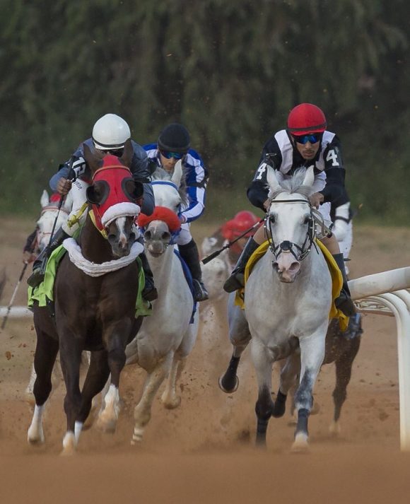 2مهرجان الأمير سلطان