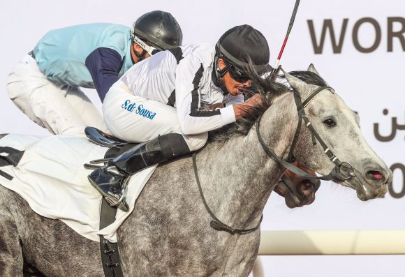 5مهرجان الأمير سلطان