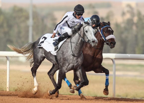 6مهرجان الأمير سلطان