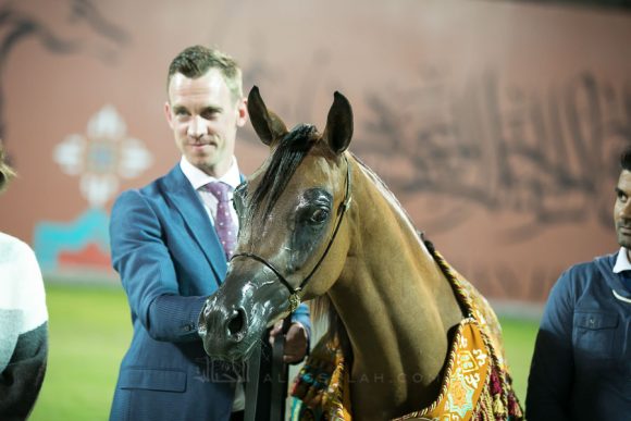  الأريام سمحة (كحيل الشقبx جي جي سلينا) إسطبلات الأريام.