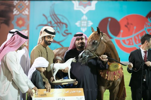 رواية البستان (اف اي الرشيم x رنيم العمردي) مربط البستان