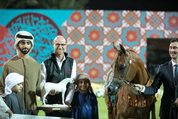 ستار اوف الزبير (عجمان مونيسيون x اس رابسودي) مربط الزبير.