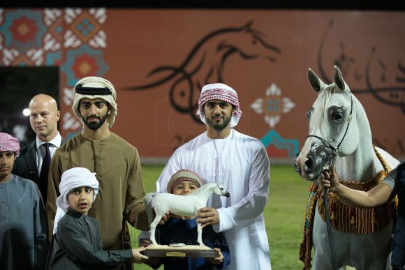    بروساريا (كابستزاد x بروسنا) مربط يوسف احمد ال علي