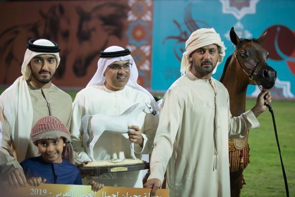   دي شخاط (دي خطاف x دي شيرين) مربط دبي