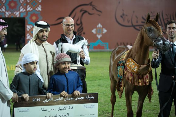   مليح الزبير (اف أي الرشيم x هاتشي سي أي مجدونيا) مربط الزبير